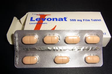 [クラビットジェネリック]レボナット500mg 【1箱7錠】 レビュー投稿画像 サムネイル