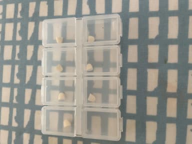 ジャディアンス25mg 【1箱30錠】 レビュー投稿画像 サムネイル