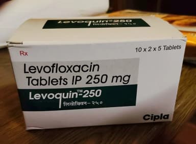 [クラビットジェネリック]レボクイン250mg 【1箱100錠】 レビュー投稿画像 サムネイル